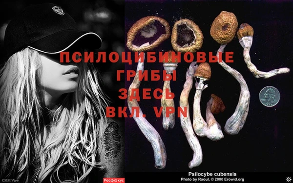 MESCALINE Волоколамск