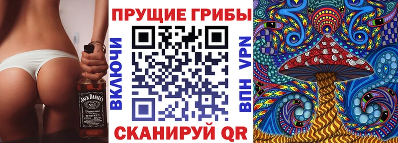 дарнет шоп  Переславль-Залесский  Псилоцибиновые грибы прущие грибы 